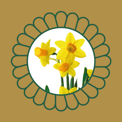 JWB Daffodil