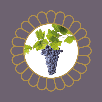 JWB Grape-Vine