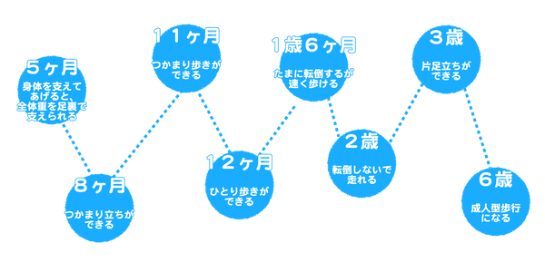 こども　の　足　成長　靴選び　足育