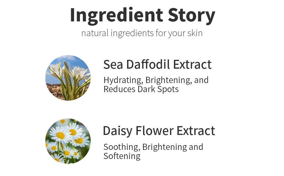 korena sunscreen's natural ingredients for skincare