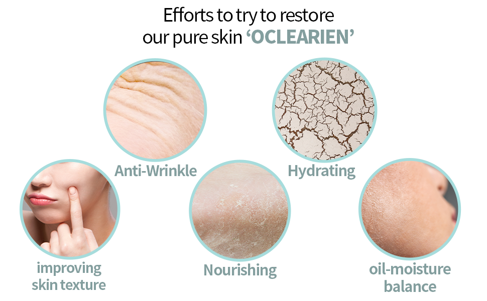 wrinkle, dead skin cell, dryness, skin texture, and pores pictures are in each circles