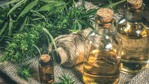 ¿Cómo funciona el aceite de CBD como alivo del dolor crónico