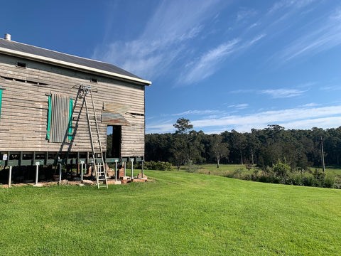 Old timber barn in Bodalla NSW_north view