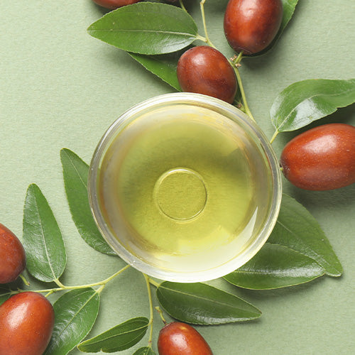 olio di jojoba