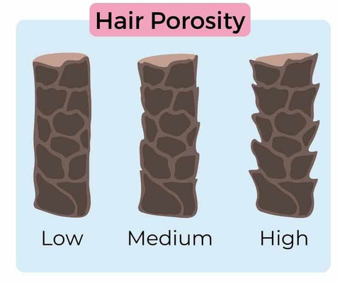 hair porosity chart