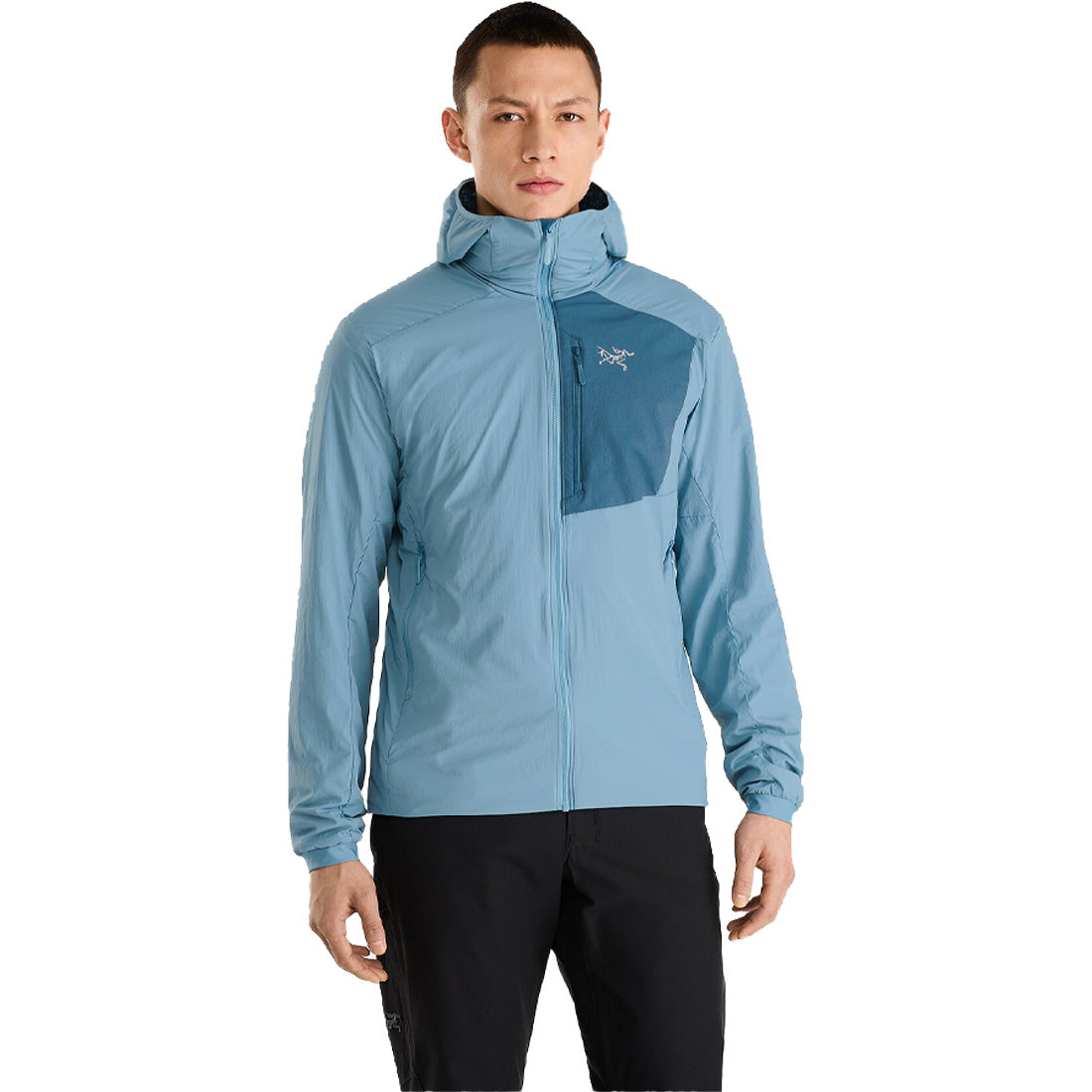 Arc'teryx Proton Lightweight Hoody - Men's | eBay