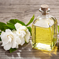 Gardenia Essential Oil