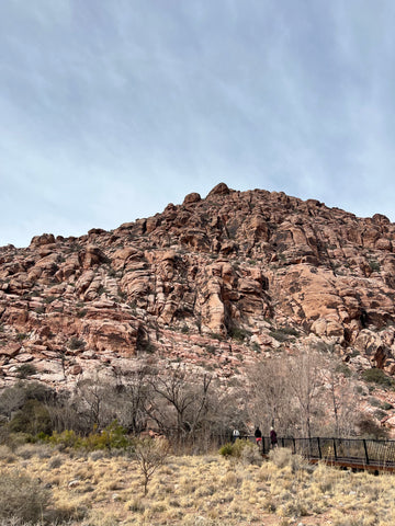 Red Springs at Calico Basin