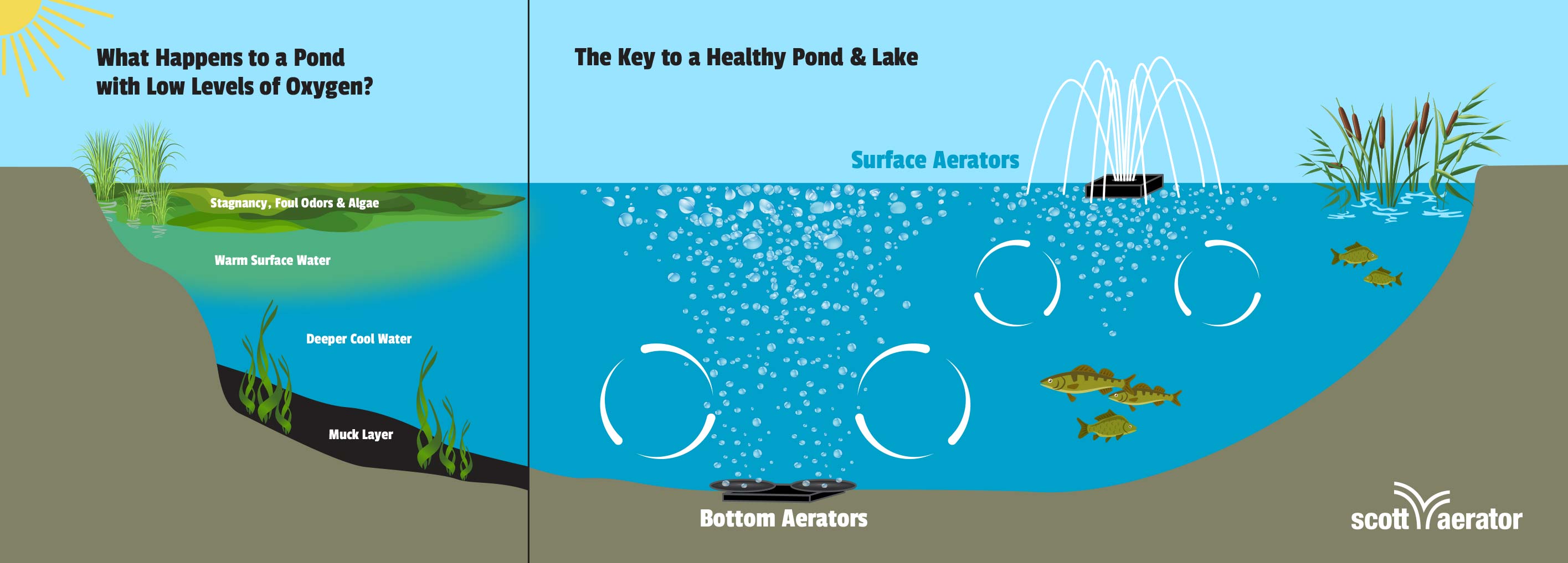 Pond Aeration Benefits