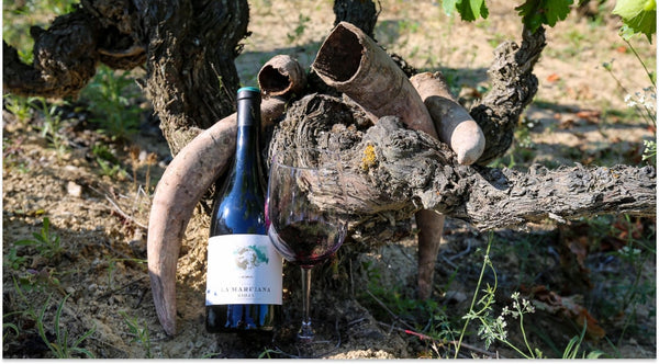 biodynamic wines from Rioja 