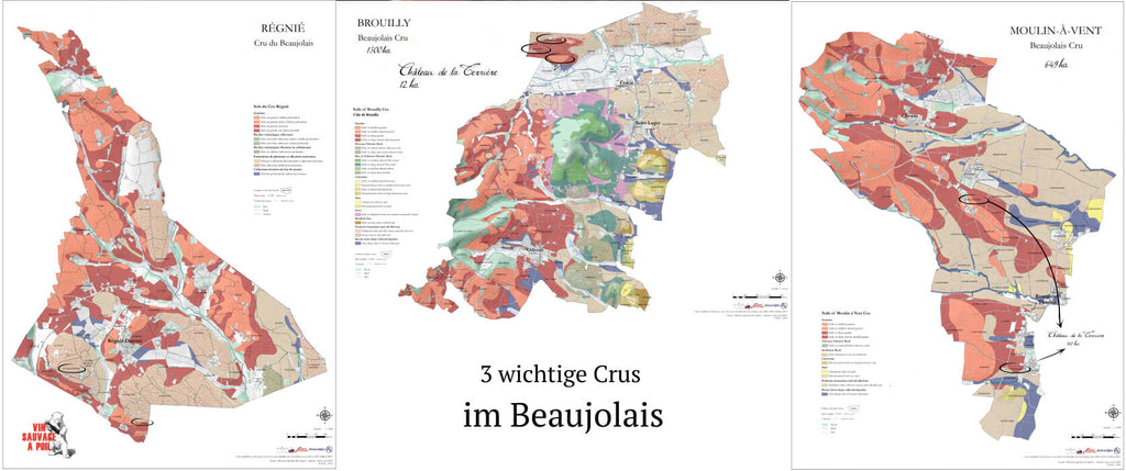 Eine Karte der Weinregion Beaujolais, welche die Regionen der unterschiedlichen Cru aufzeigt