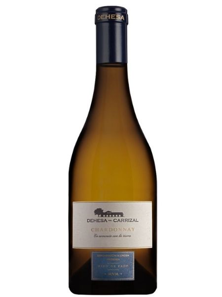 Chardonnay Wines Collections Online | Dis&Dis