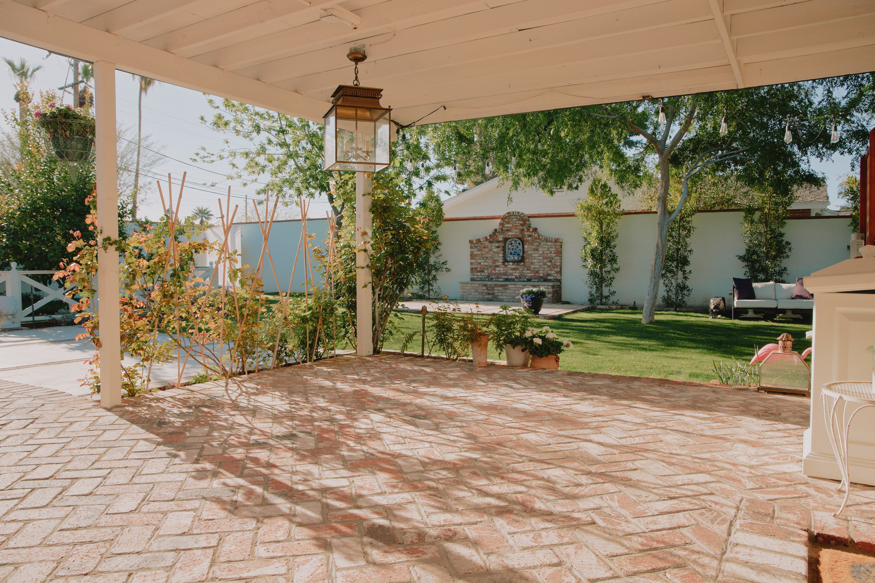 Blank Outdoor Backyard Space