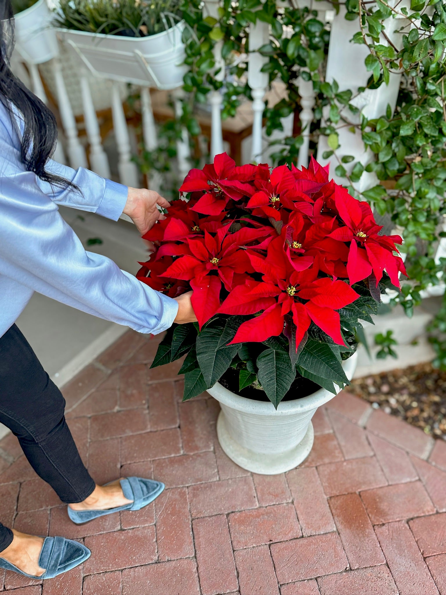 Placing a Poinsettia on the Porch to add to the decor and add color