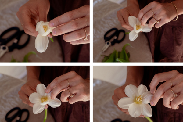 Jenna Showing How to Give A Tulip A Different Look