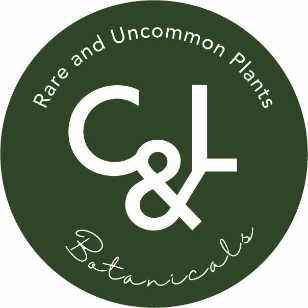 C&L Botanicals - Rare and Uncommon Plants