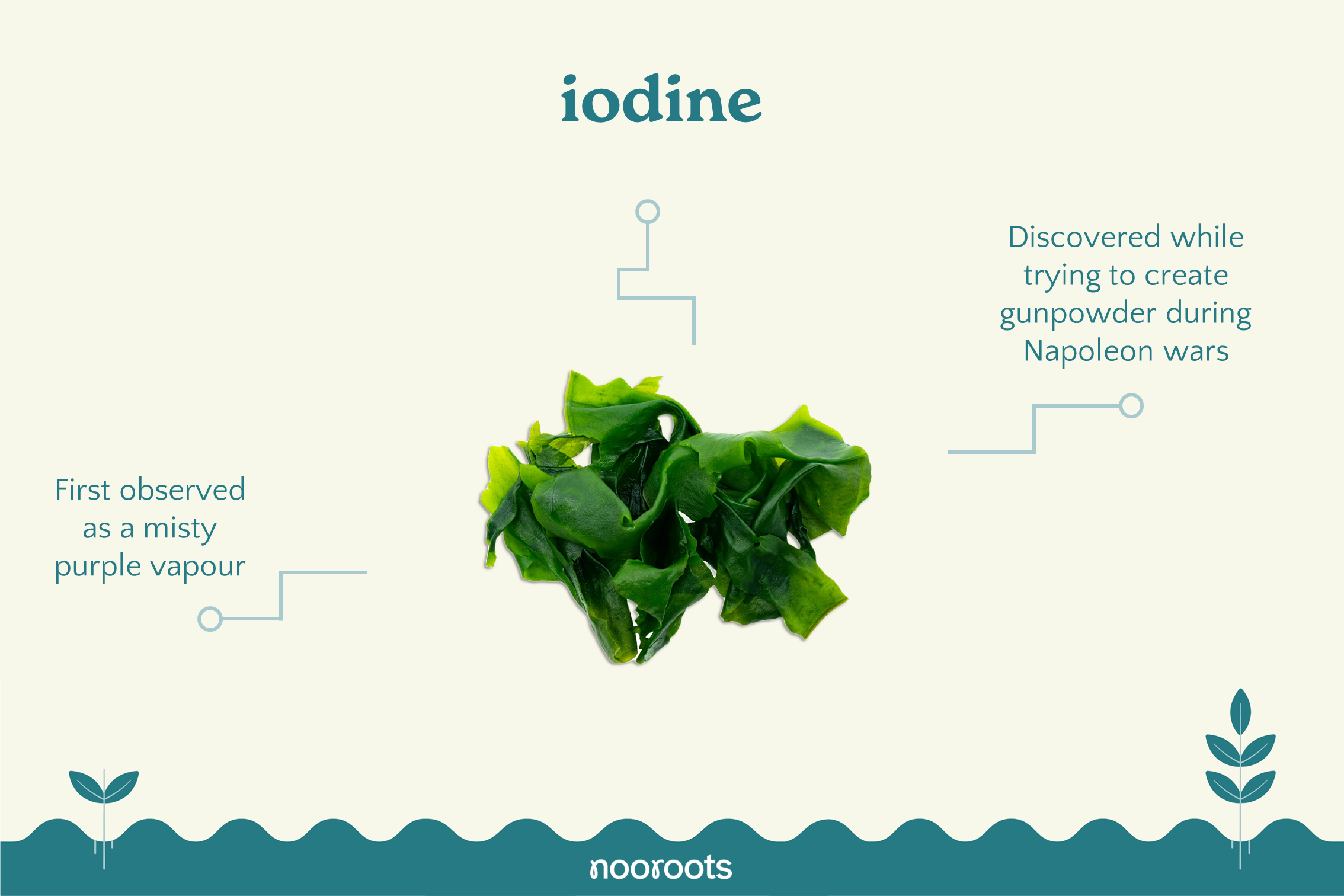 iodine nooroots nootropic supplements