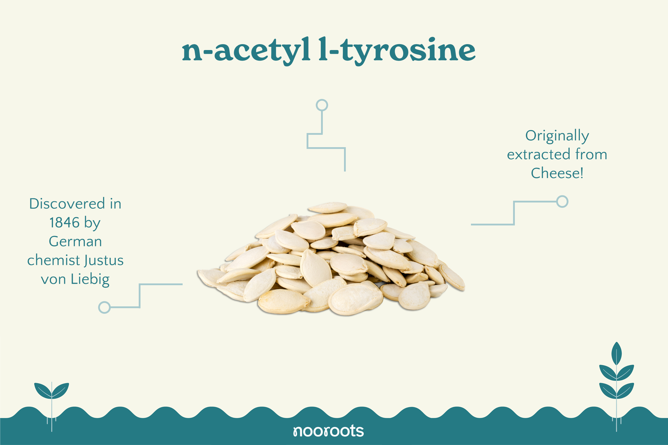 n acetyl L tyrosine nooroots nootropic supplements