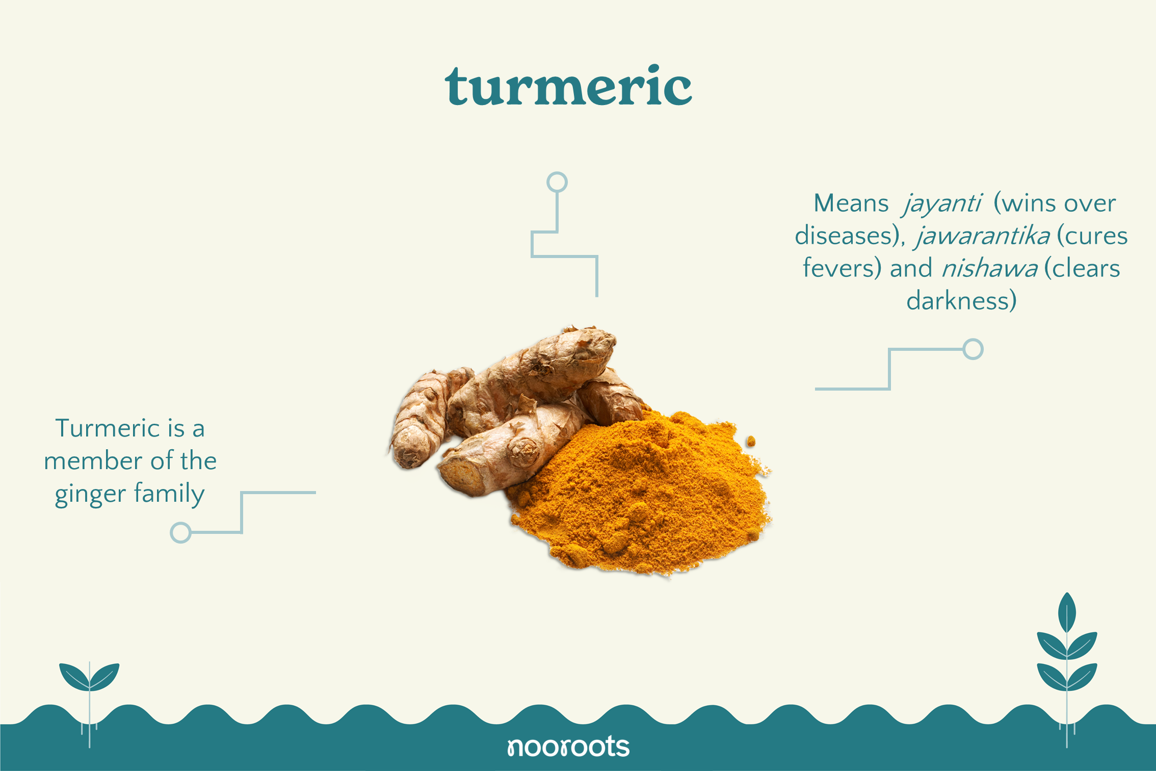 turmeric nooroots nootropic supplements
