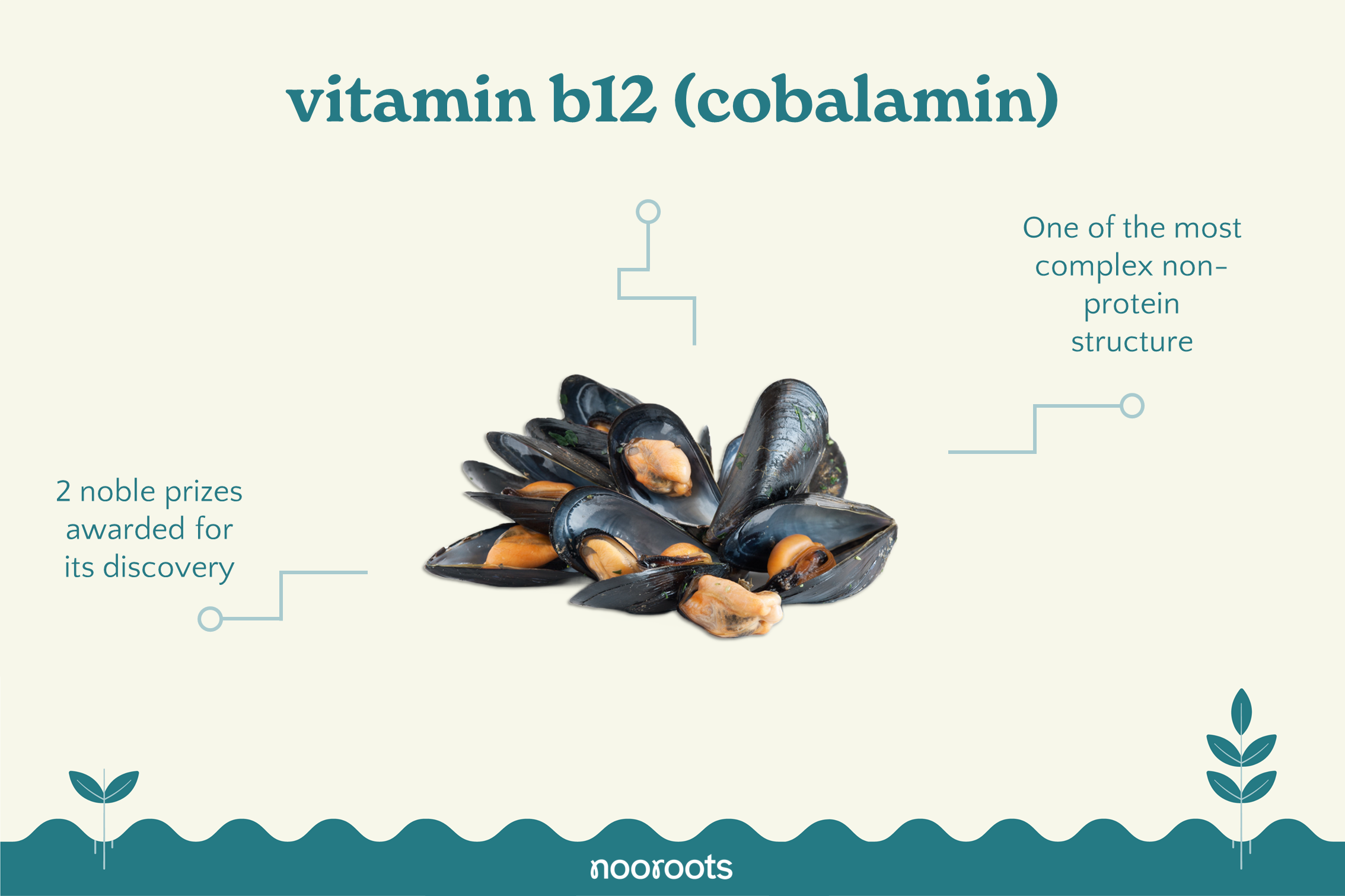 vitamin b12 cobalamin nooroots nootropic supplements