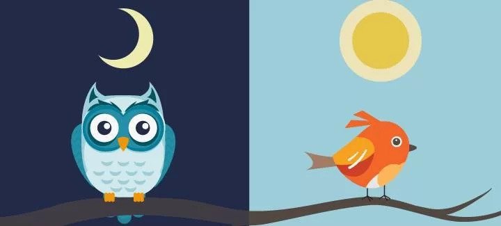 Morning Lark VS Night Owl