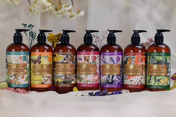 Anniversary Liquid Hand Wash Soap Group