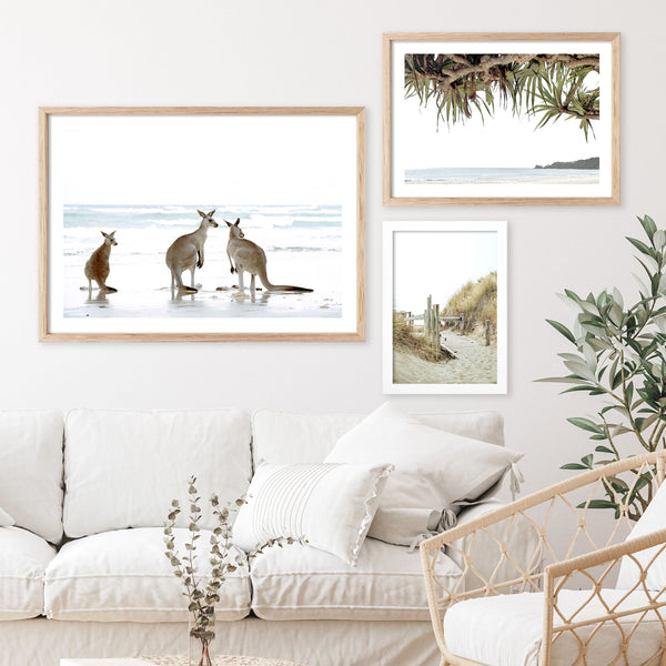 display of framed natural australiana wall art prints