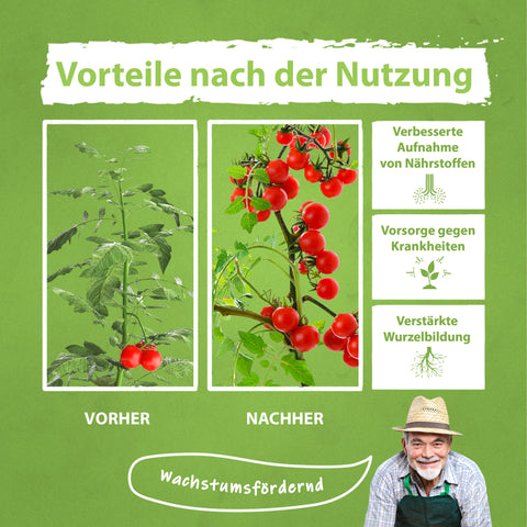 Flora Boost Tomatendünger Vergleich