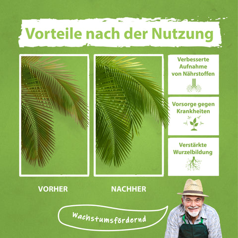 Flora Boost Palmendünger Nutzen