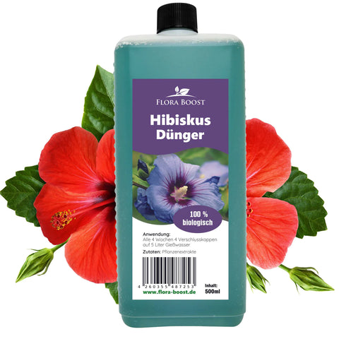 Hibuskus Dünger Flora Boost