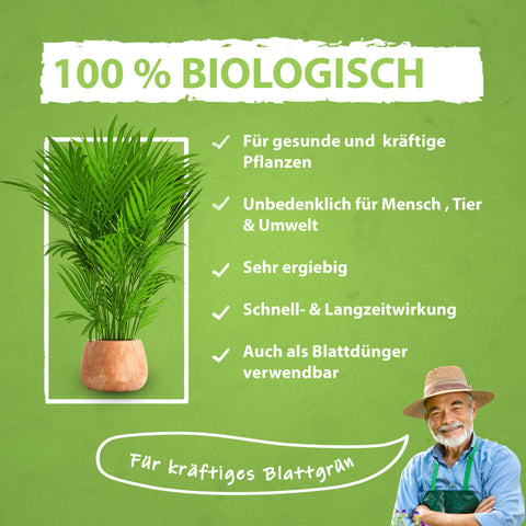 Flora Boost Palmendünger Anwendung