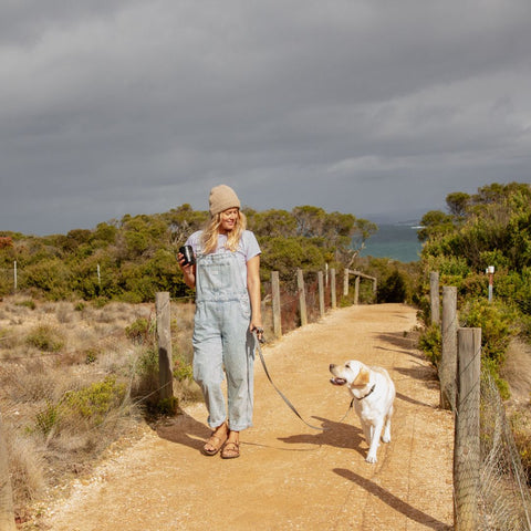 Dogs best friends and travel buddies. Best Dog Collars