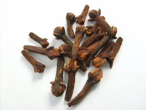Clove, Syzygium aromaticum, Magical Herbs