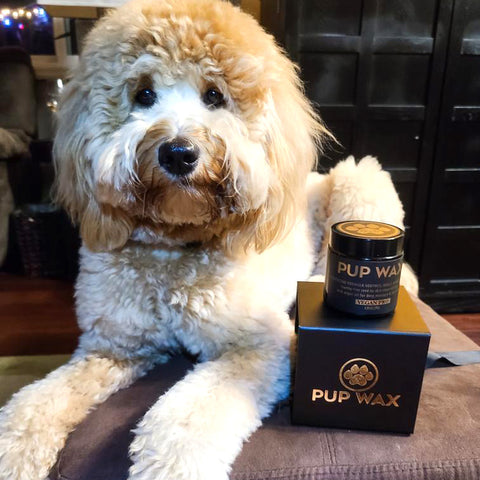 Pup Wax Vegan Pro for dry dog noses and paws