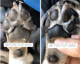 healing dry, cracked dog paws fast!
