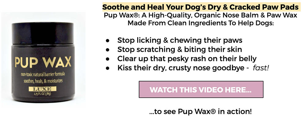 watch video of Pup Wax in action to quickly heal dry dog skin paws and nose