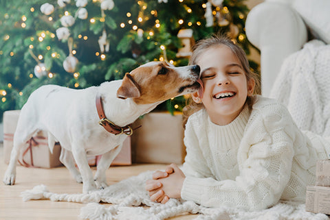 girl licked by dog in front of christmas tree