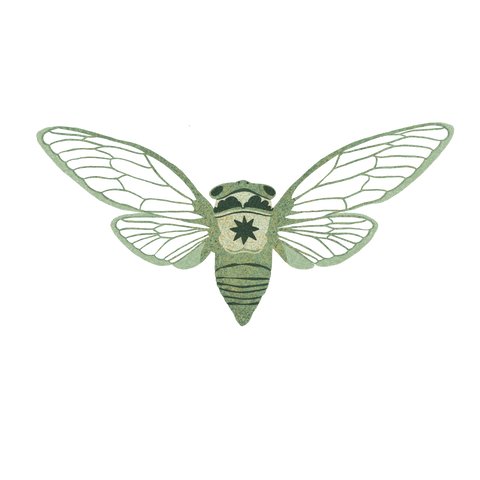 Cicada talisman