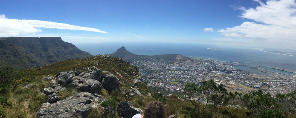Vista da cidade de Cape Town do topo da montanha Devil's Peak - Foto: Arquivo pessoal