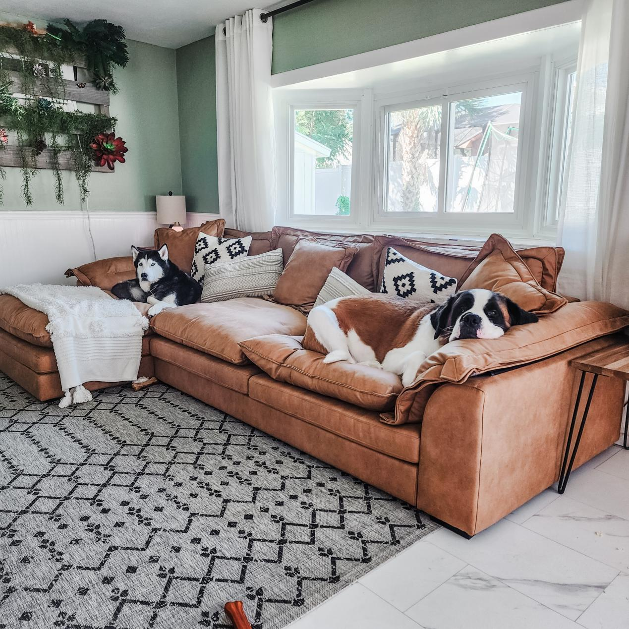 cat proof couch, sandwich sectional sofa