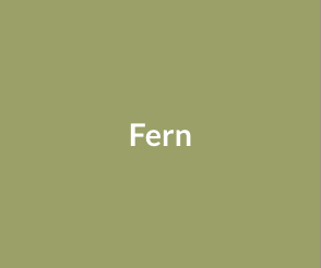 Fern