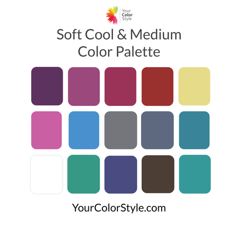 Soft Cool and Medium Mini Color Palette