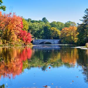 Charles River Needham MA