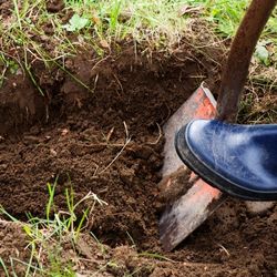 Digging hole for a tree