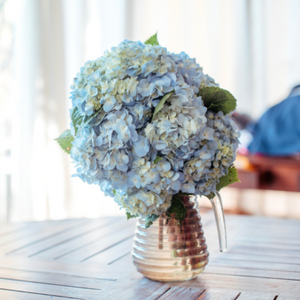 Blue Hydrangea in a vase