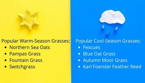 Cool Season vs. Warm season grasses