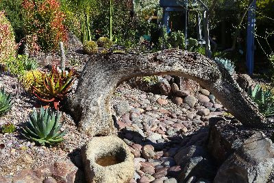 xeriscape