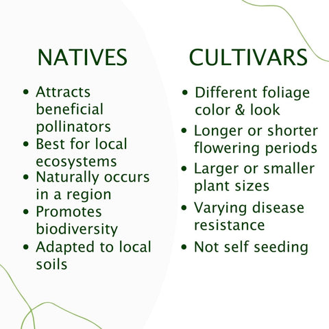 Natives vs Cultivars