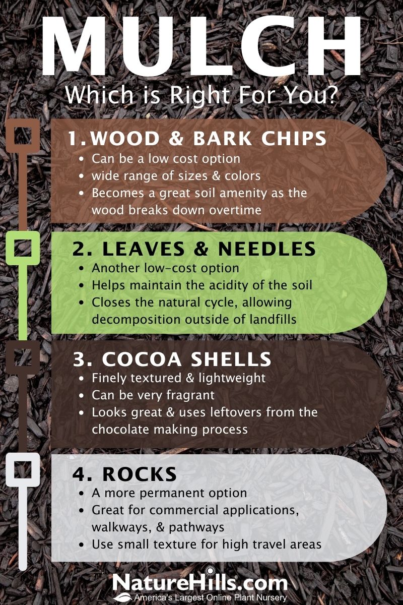 Which mulch is right for you inforgraphic