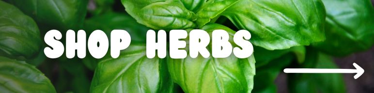 Shop Herbs